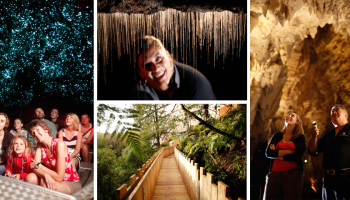 WAITOMO CAVES